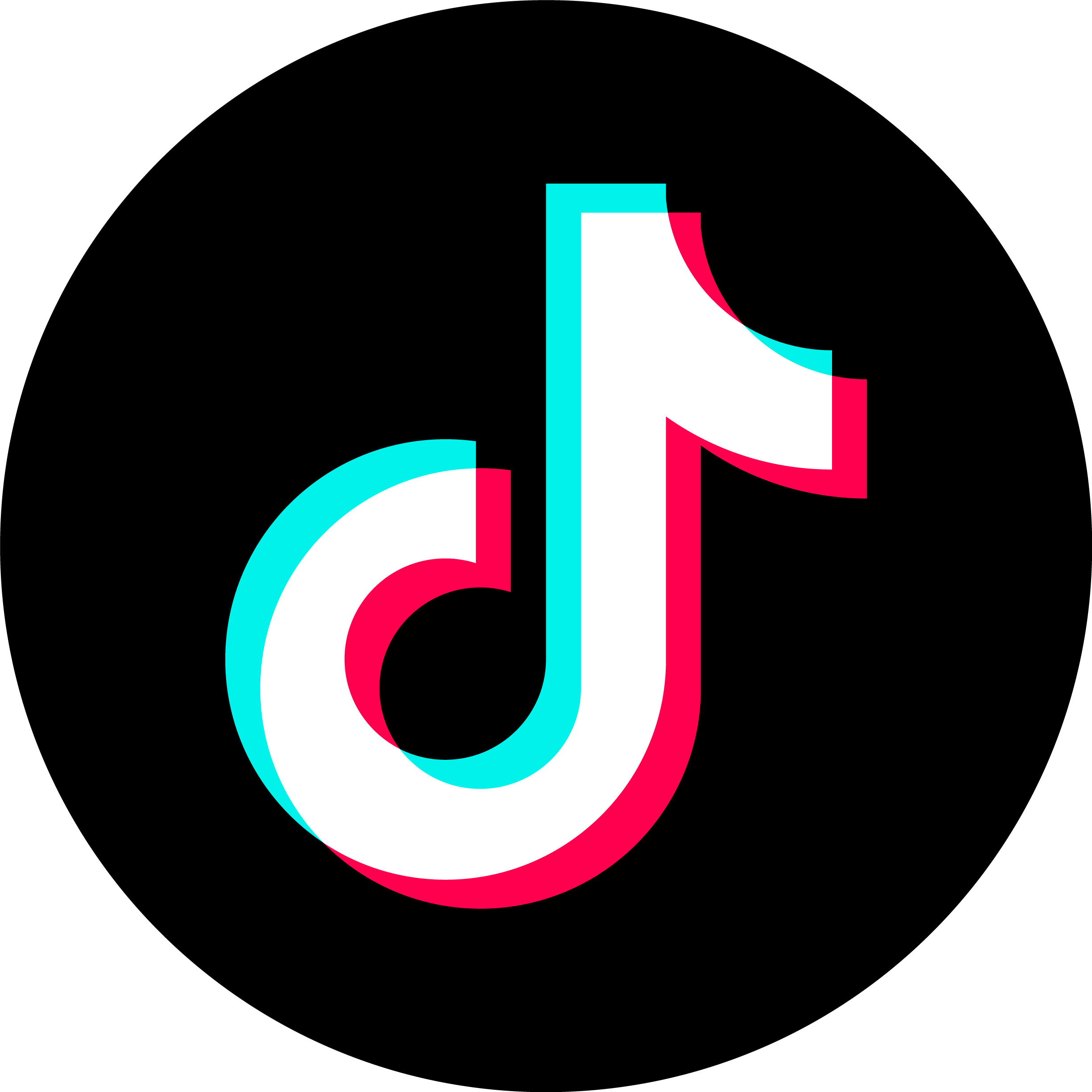 TikTok Round Logo PNG Circle Shape